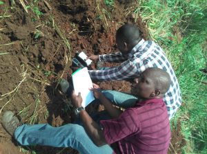 Air Pollutant Concentrations Inventory or Soil at a Project Location in LASPOTEC